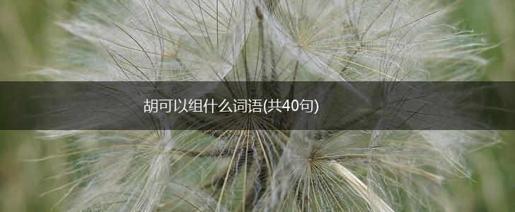 胡可以组什么词语(共40句),第1张