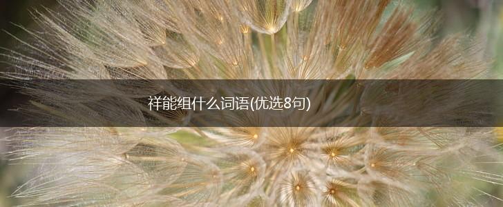 祥能组什么词语(优选8句),第1张