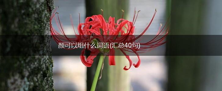 颜可以组什么词语(汇总40句),第1张