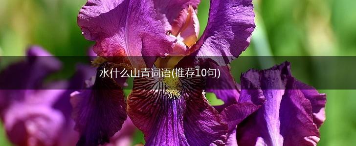 水什么山青词语(推荐10句),第1张