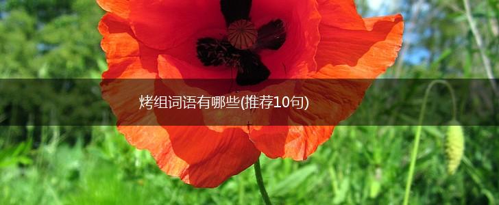 烤组词语有哪些(推荐10句),第1张