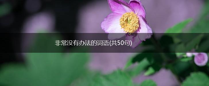 非常没有办法的词语(共50句),第1张
