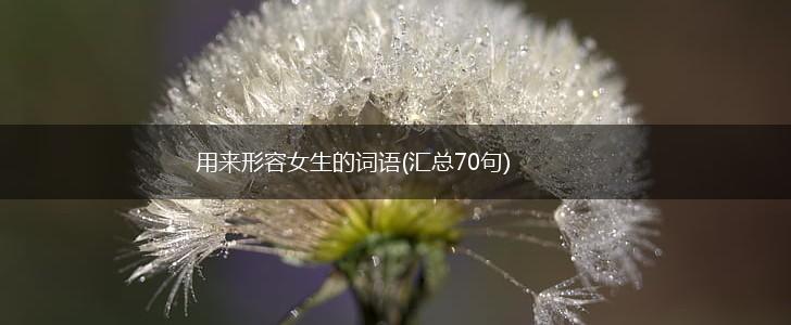 用来形容女生的词语(汇总70句),第1张