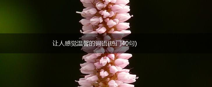 让人感觉温馨的词语(热门40句),第1张