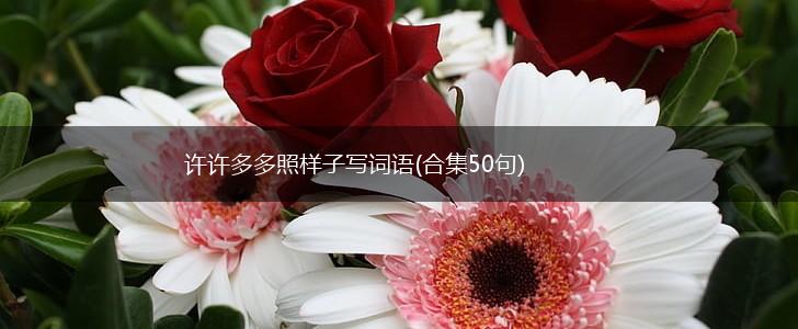 许许多多照样子写词语(合集50句),第1张