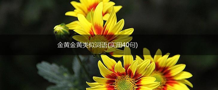 金黄金黄类似词语(实用40句),第1张