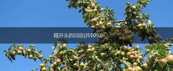 精开头的词语(共50句),第1张
