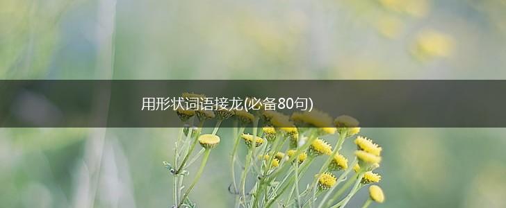 用形状词语接龙(必备80句),第1张