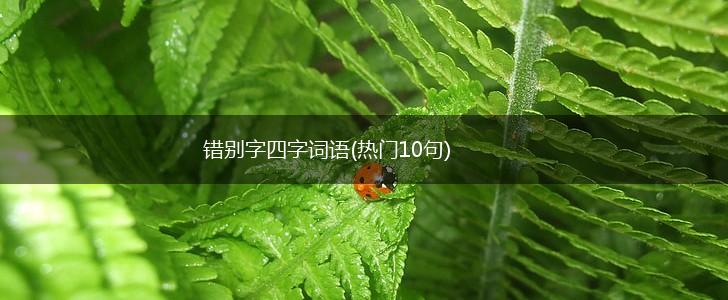 错别字四字词语(热门10句),第1张