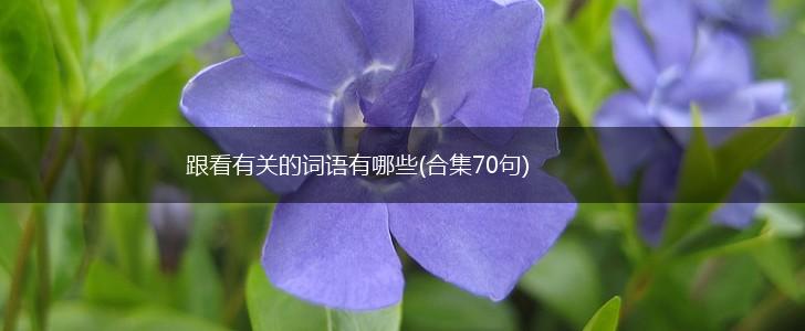 跟看有关的词语有哪些(合集70句),第1张