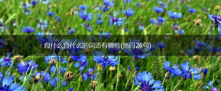 自什么自什么的词语有哪些(热门26句),第1张