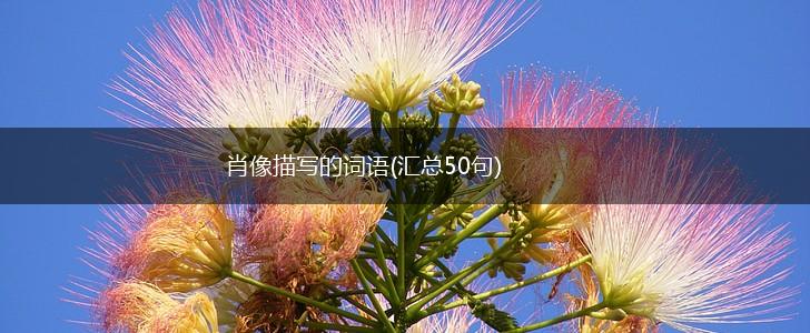肖像描写的词语(汇总50句),第1张