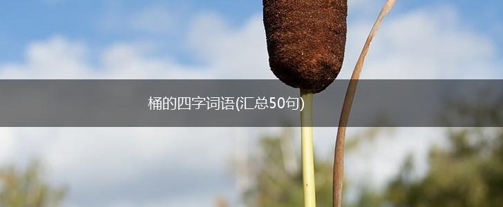 桶的四字词语(汇总50句),第1张