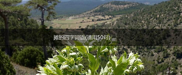 摊的四字词语(通用50句),第1张