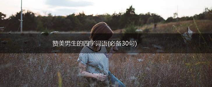 赞美男生的四字词语(必备30句),第1张