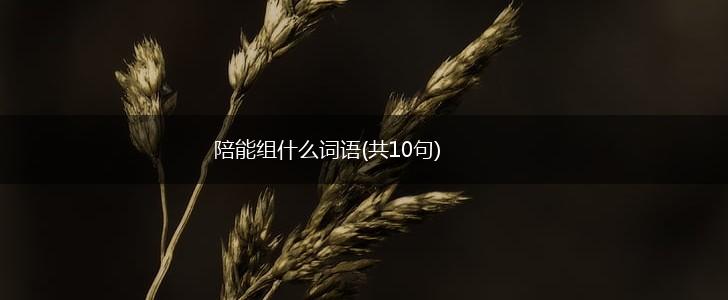 陪能组什么词语(共10句),第1张