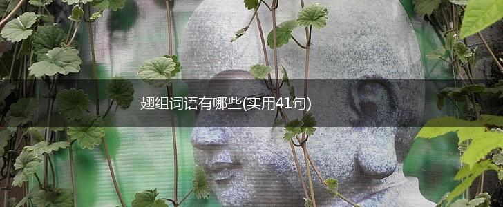 翅组词语有哪些(实用41句),第1张