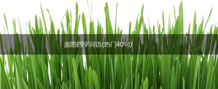涨的四字词语(热门40句),第1张