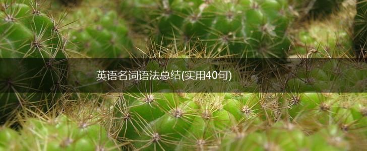 英语名词语法总结(实用40句),第1张