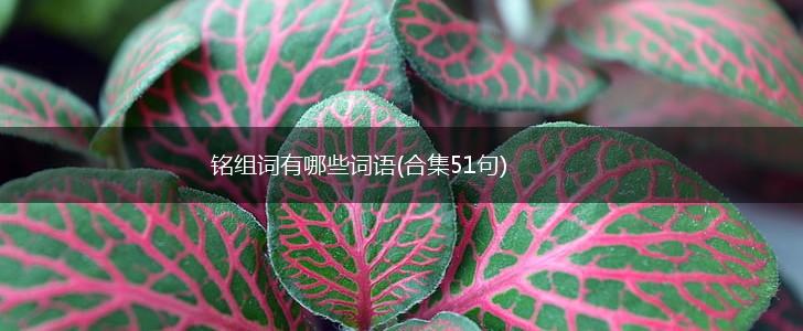 铭组词有哪些词语(合集51句),第1张