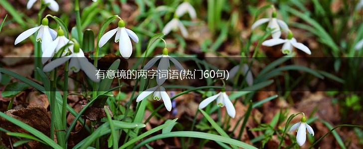 有意境的两字词语(热门60句),第1张