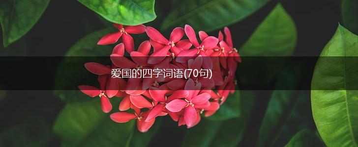 爱国的四字词语(70句),第1张