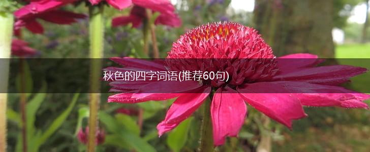 秋色的四字词语(推荐60句),第1张
