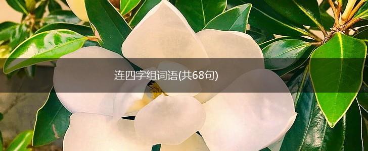 连四字组词语(共68句),第1张
