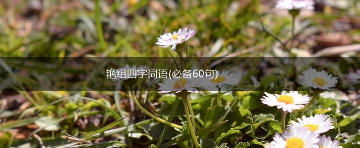 艳组四字词语(必备60句),第1张