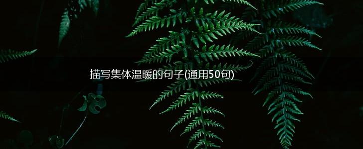 描写集体温暖的句子(通用50句),第1张