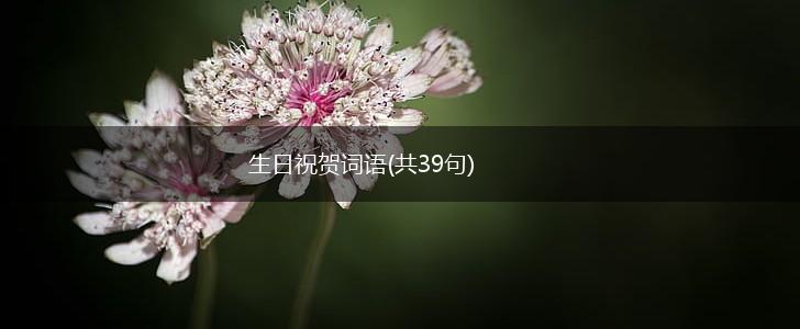 生日祝贺词语(共39句),第1张