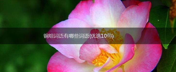铜组词语有哪些词语(优选10句),第1张