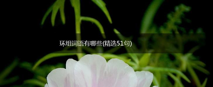 环组词语有哪些(精选51句),第1张