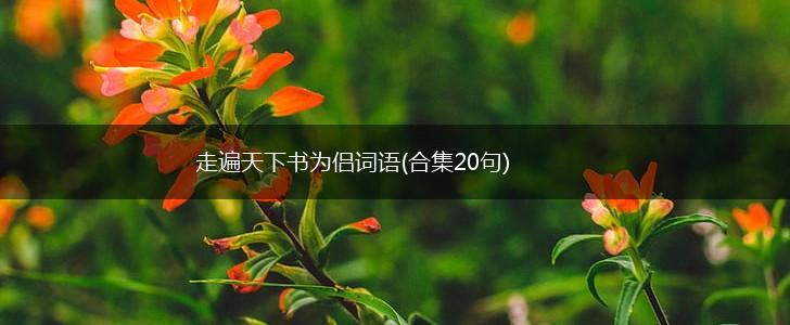 走遍天下书为侣词语(合集20句),第1张