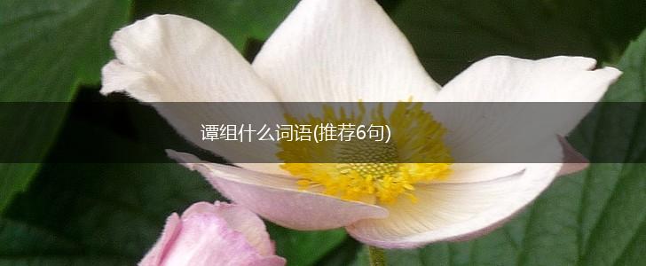 谭组什么词语(推荐6句),第1张