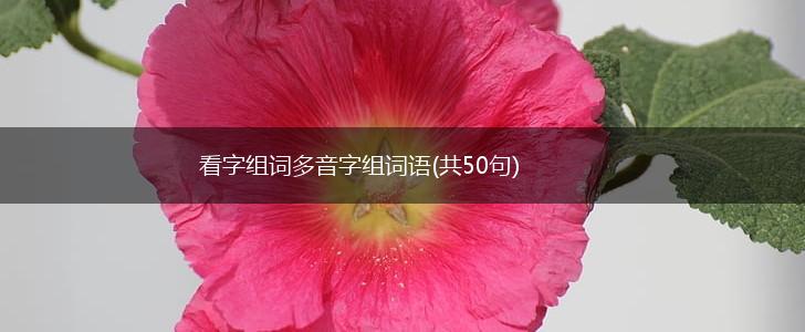 看字组词多音字组词语(共50句),第1张
