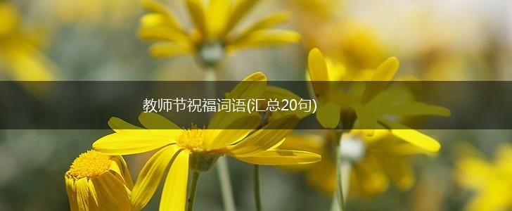 教师节祝福词语(汇总20句),第1张
