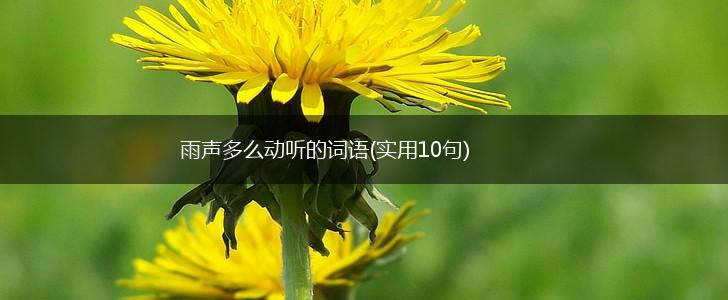 雨声多么动听的词语(实用10句),第1张