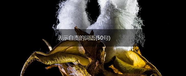 表示自责的词语(50句),第1张