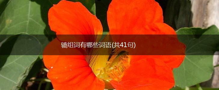 辘组词有哪些词语(共41句),第1张