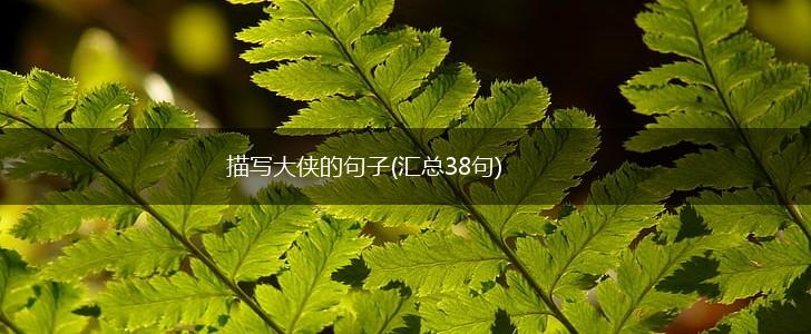 描写大侠的句子(汇总38句),第1张
