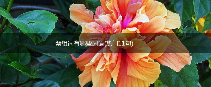 蟹组词有哪些词语(热门11句),第1张