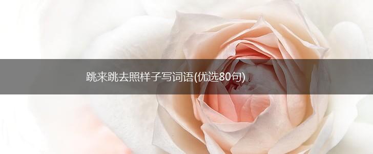 跳来跳去照样子写词语(优选80句),第1张