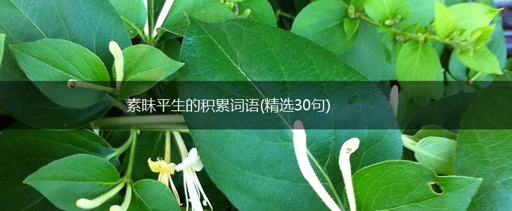 素昧平生的积累词语(精选30句),第1张