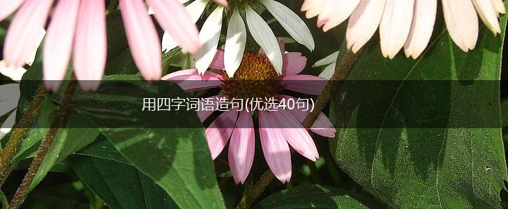 用四字词语造句(优选40句),第1张