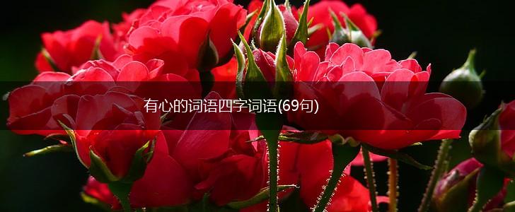 有心的词语四字词语(69句),第1张