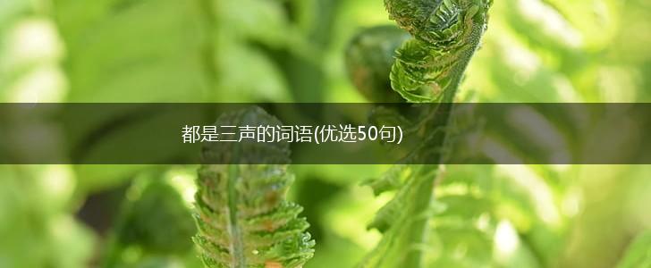 都是三声的词语(优选50句),第1张