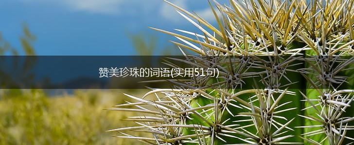赞美珍珠的词语(实用51句),第1张