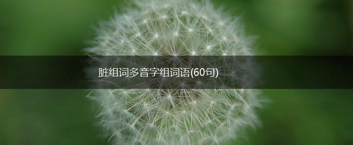 脏组词多音字组词语(60句),第1张
