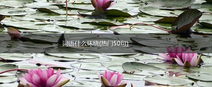 词语什么环绕(热门50句),第1张